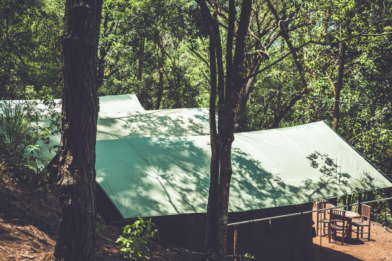 Ella Glamping Hotell Eksteriør bilde